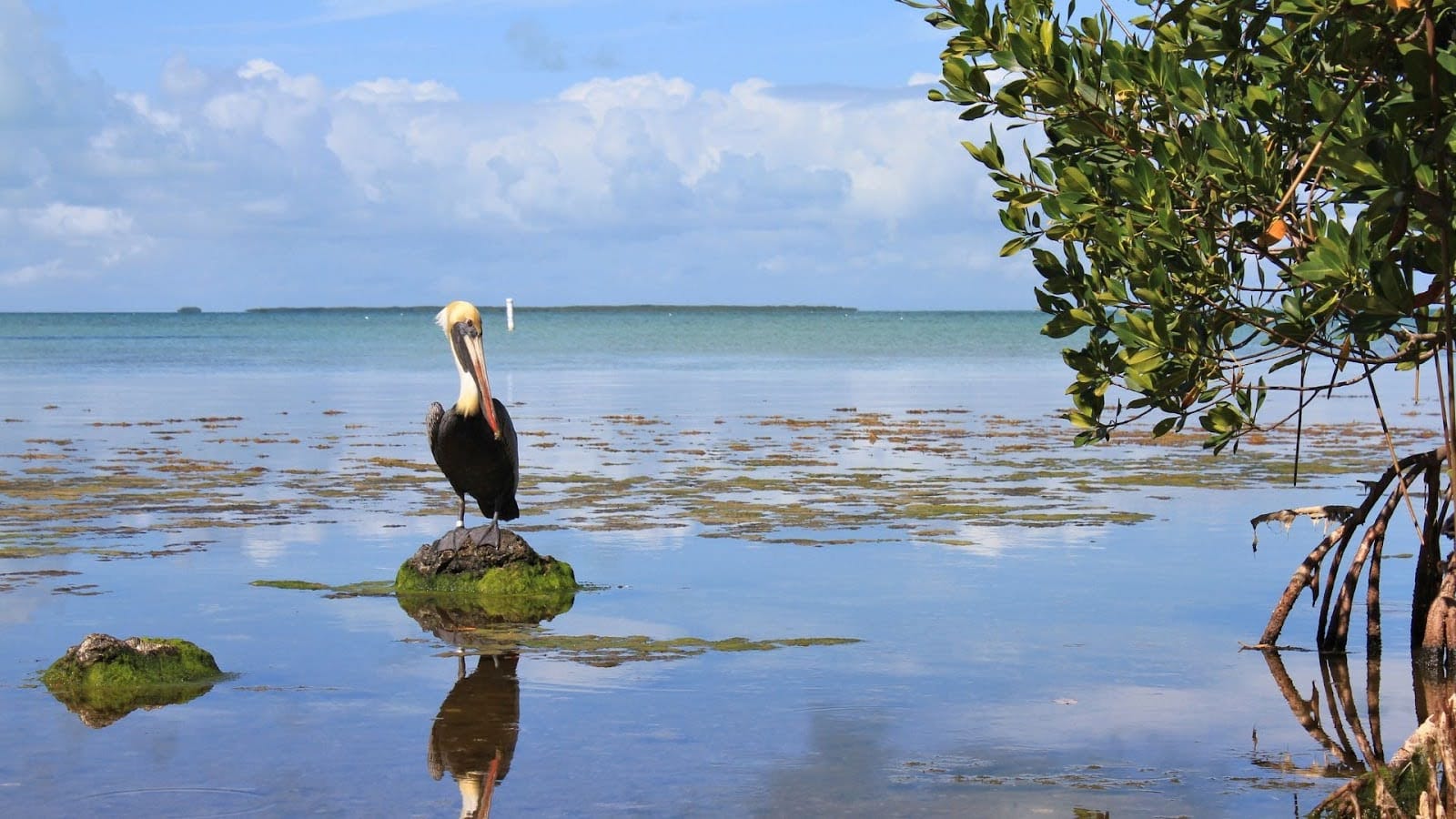 Best Places to Visit in the US in January - Everglades National Park