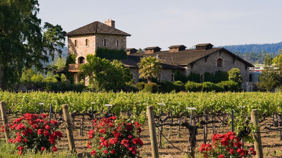 Best Places to Visit in the U.S. in March - Napa Valley, CA