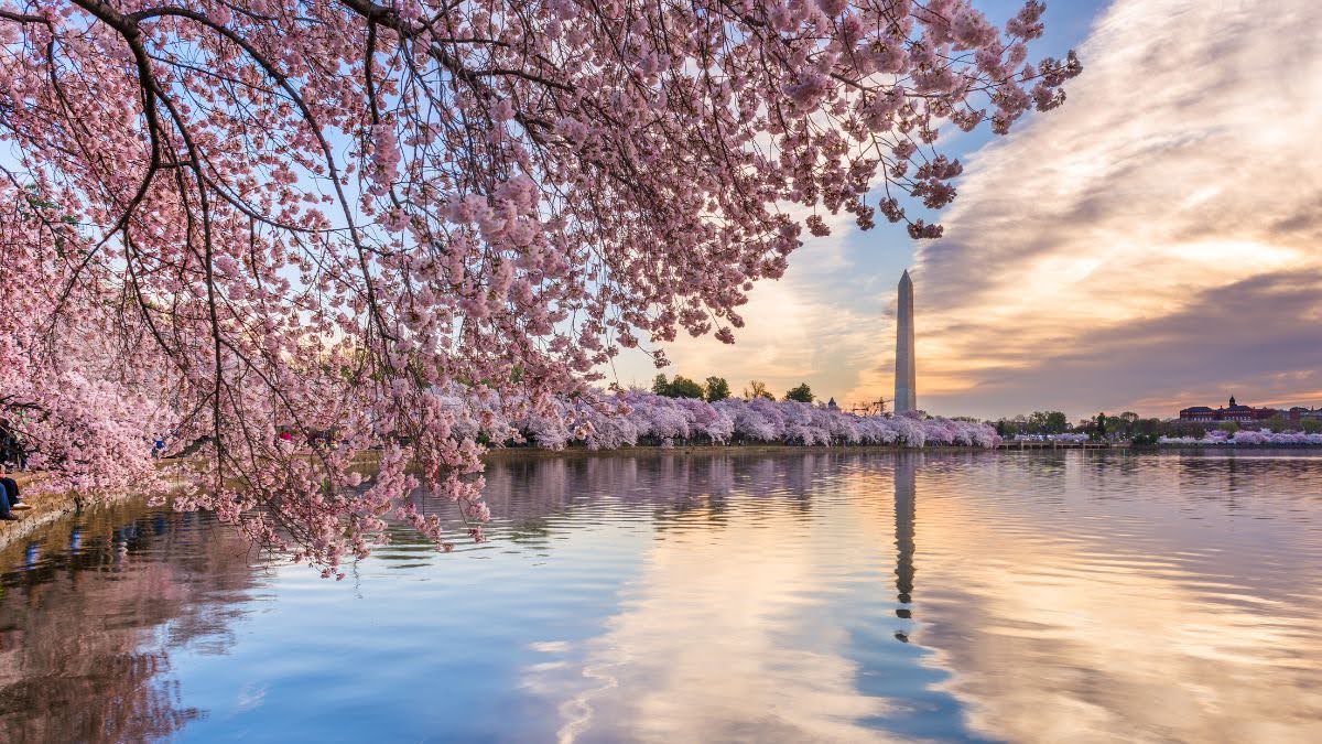 Best Places to Visit in the U.S. in March - Washington DC