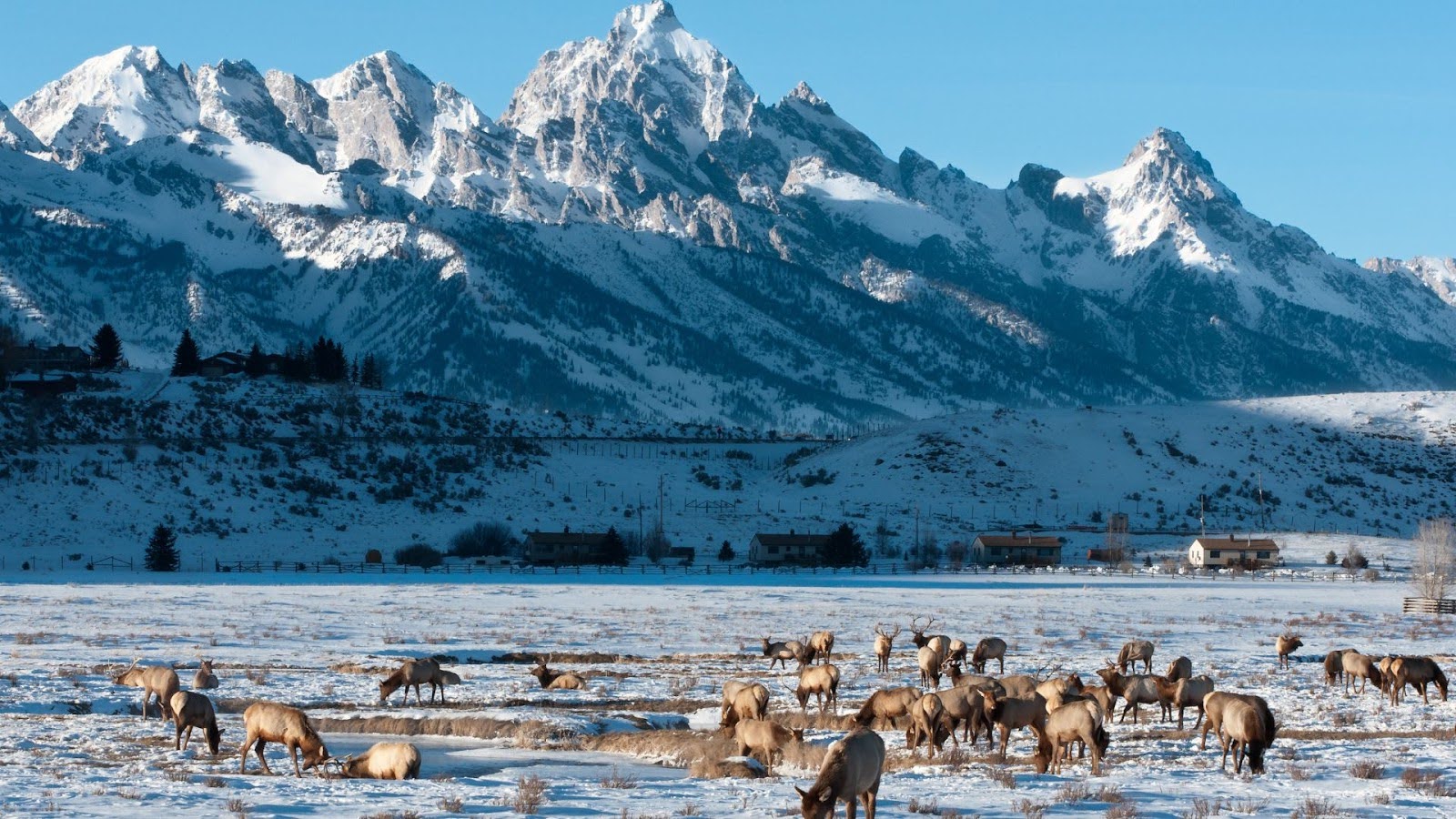 Best Vacation Spots for Couples - Jackson Hole WY