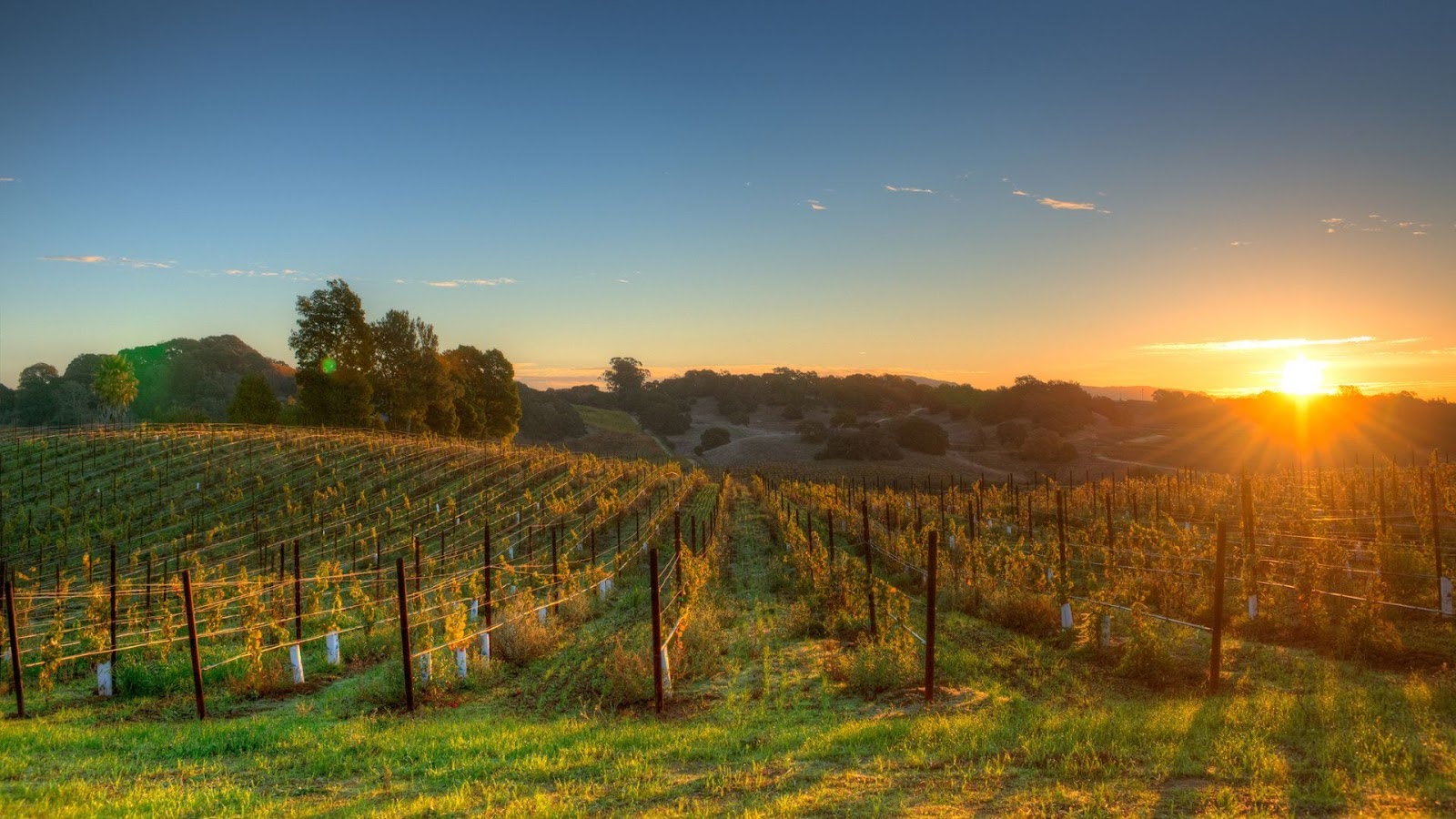Best Vacation Spots for Couples - Napa Valley