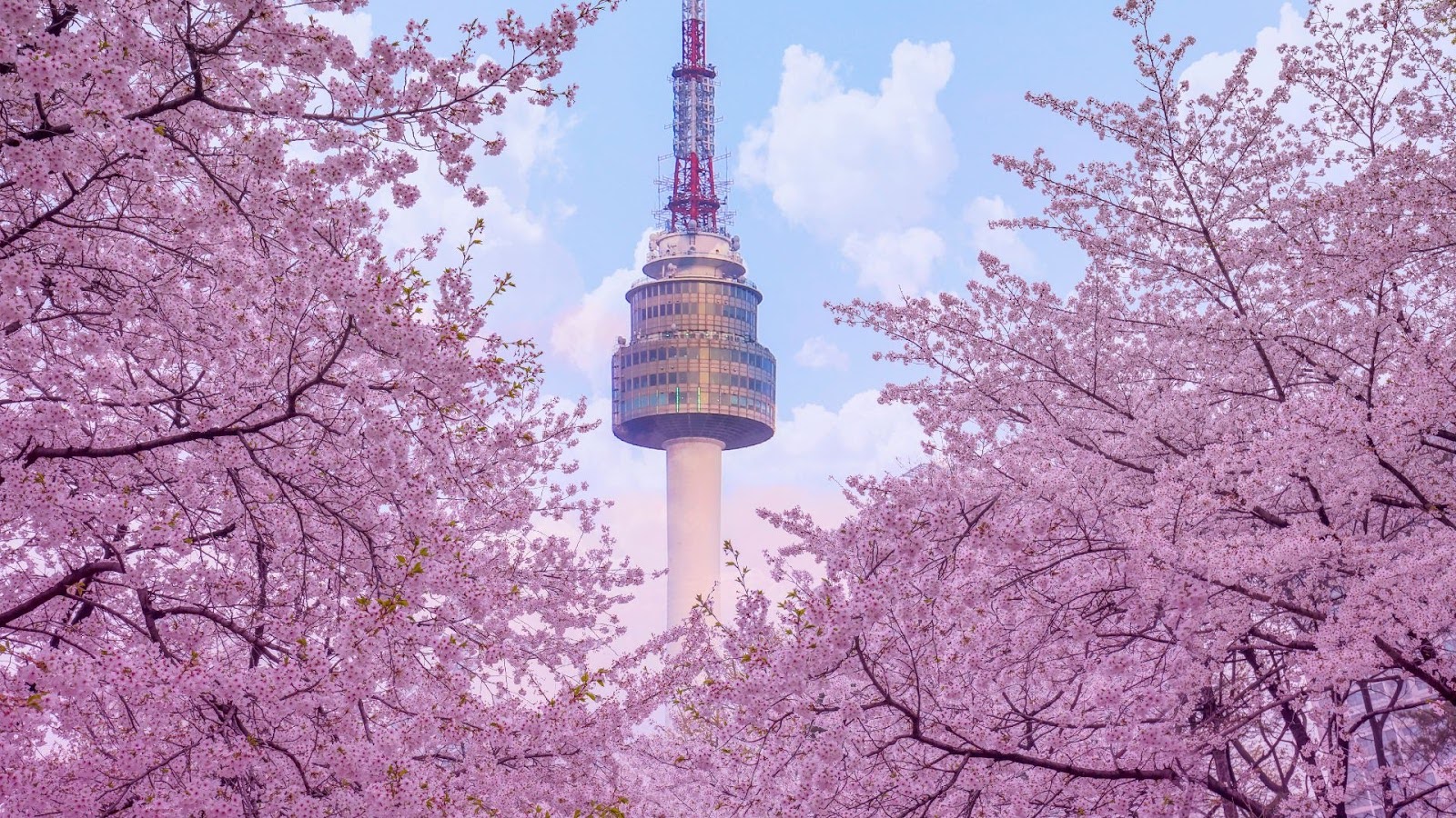 Spring Festivals Around the World - Yeouido Cherry Blossom Festival, SK